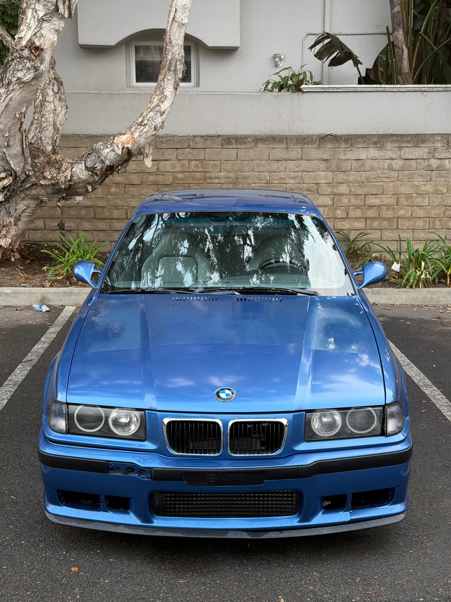 Professional car care excellence in Punta Gorda - M4 Detailing